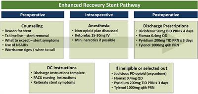 Outcomes of Opioid-Free Pathways Post-Ureteroscopy: Joint Analysis From Two Academic Centers